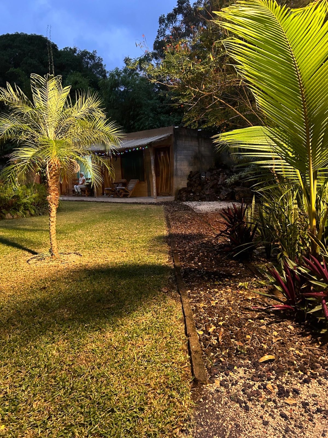 Jardín con cabañas iluminadas