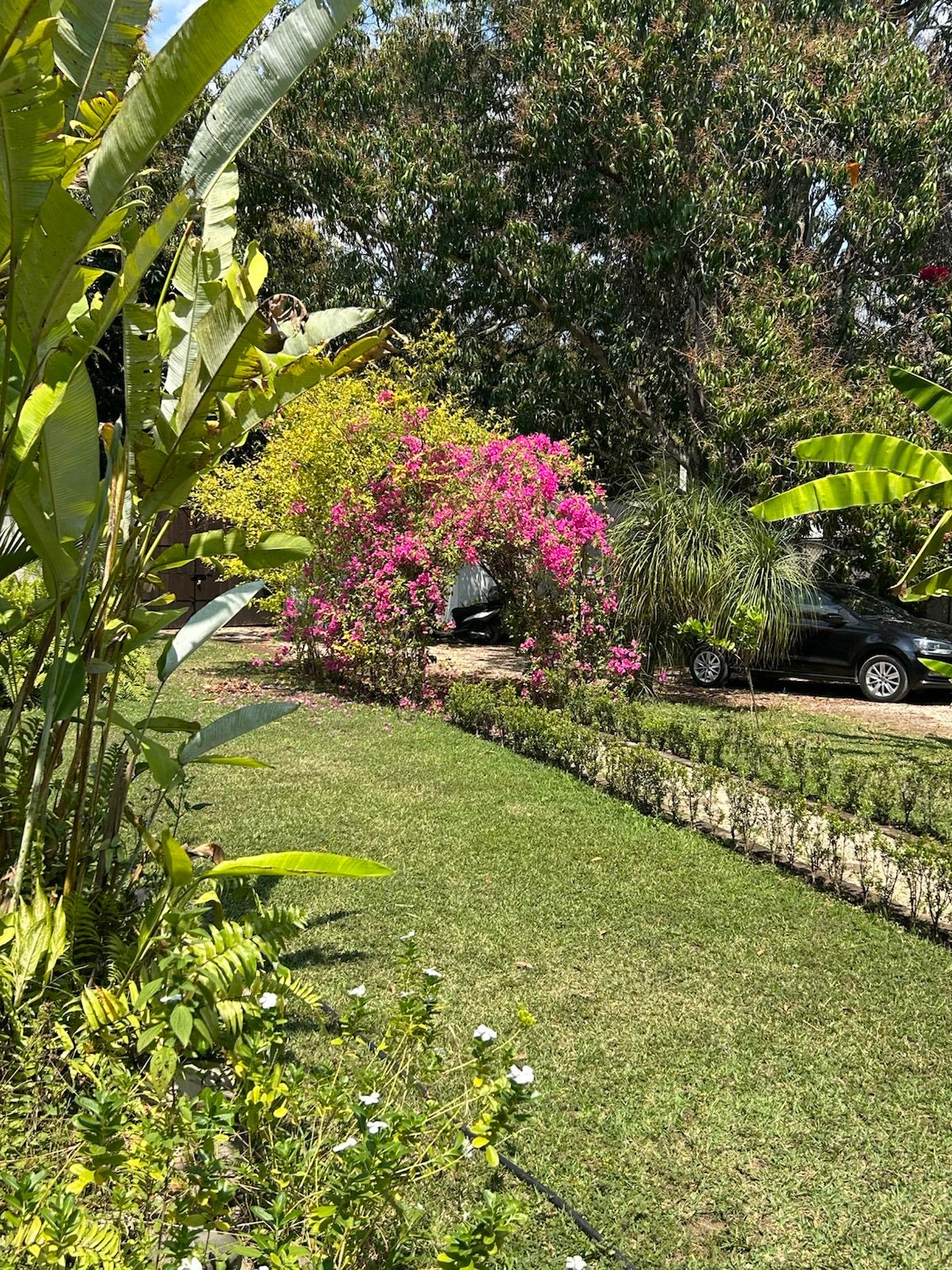 Jardín con flores y áreas verdes