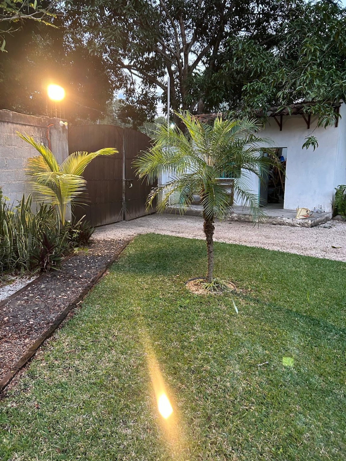 Patio de jardín y áreas verdes